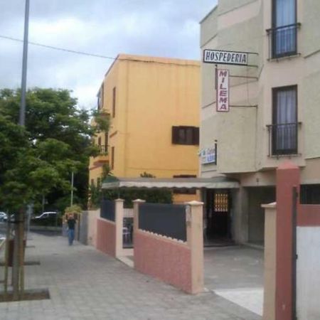 Pension Milema Santa Cruz de Tenerife Eksteriør billede